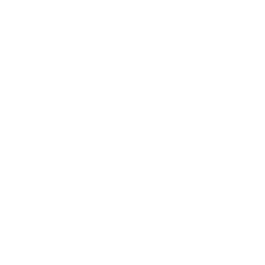SCHS Cardinals